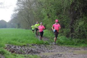 Gotrail2018 - Bords de loire 14