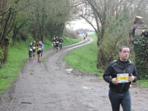 Gotrail2018 - Pierres Meslières 85